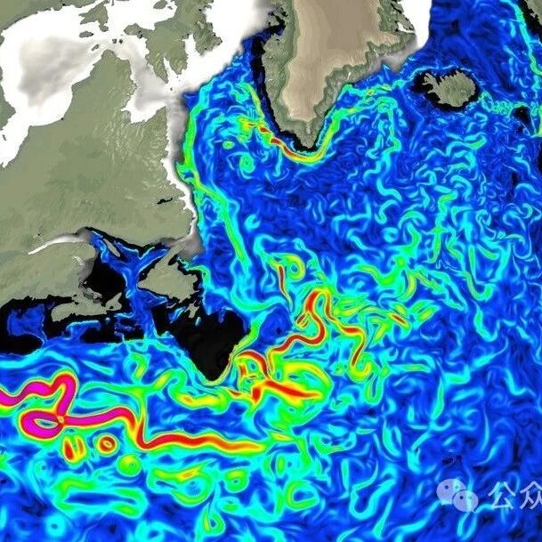 Cover Image of the Post