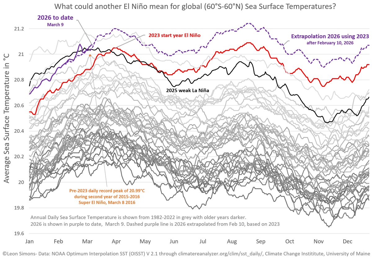 全球海表温度趋势——2026 年年均值可能超过 2016 年超级厄尔尼诺的日峰值（来源：Leon Simons @LeonSimons8）