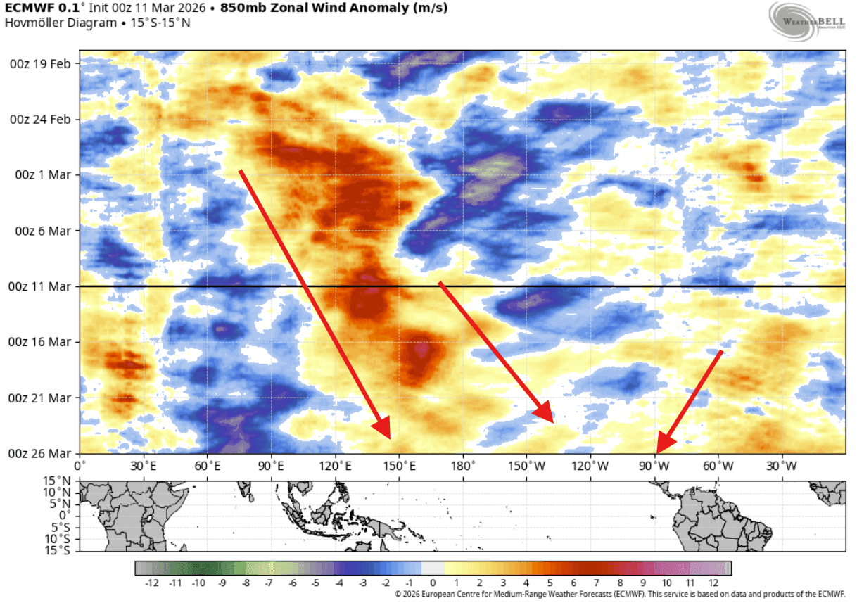 ECMWF 预报显示 3 月西风暴发信号——厄尔尼诺正在酝酿（来源：Severe Weather Europe）