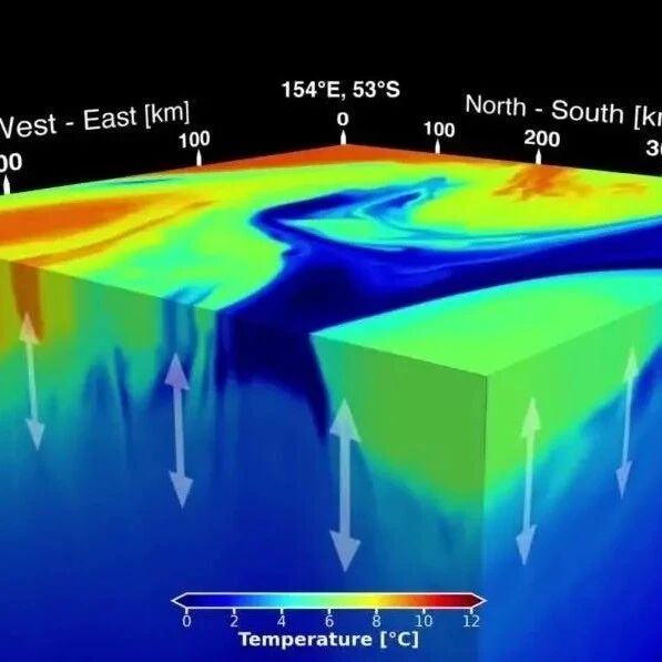 Cover Image of the Post