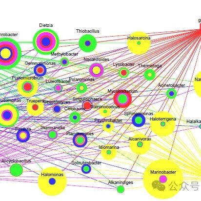 Cover Image of the Post