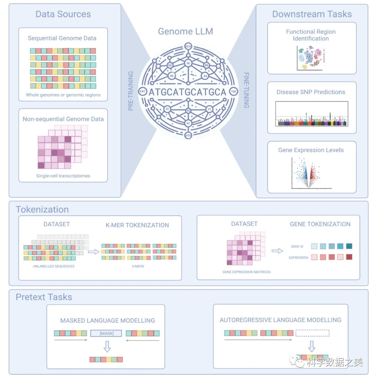 Cover Image of the Post