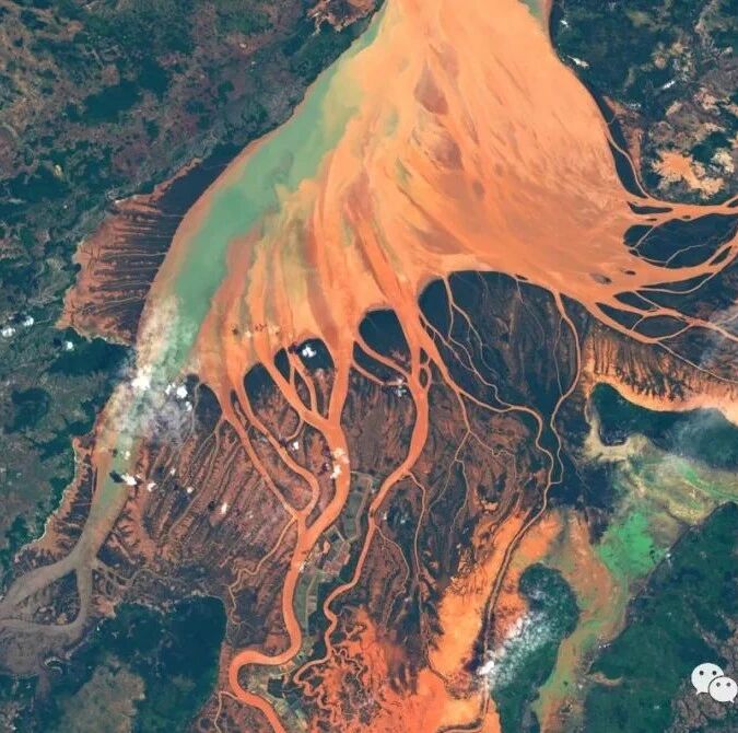 Cover Image of the Post