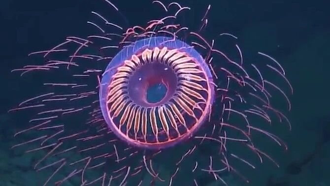 Cover Image of the Post