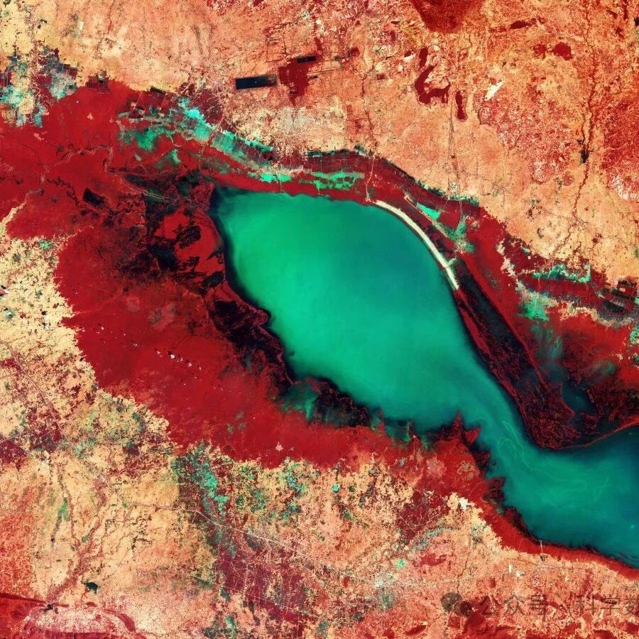 Cover Image of the Post